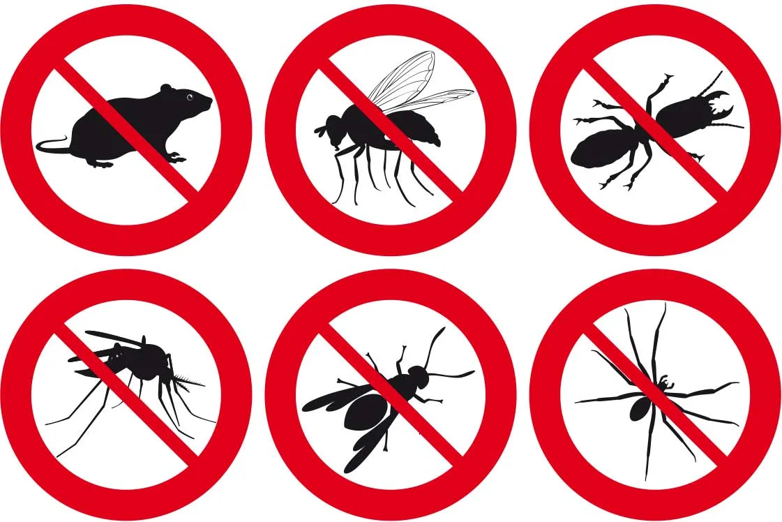 Entregamos certificados